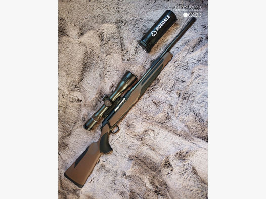Sauer 303 Roedale