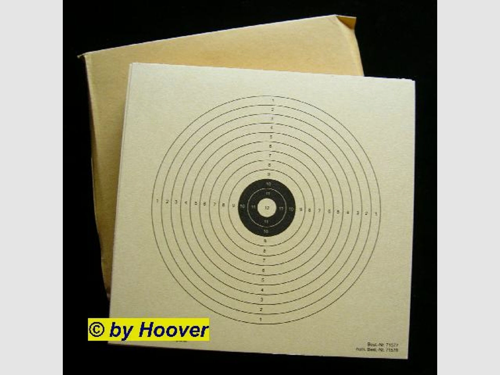 100 Schießscheiben für Luftgewehr - LG Scheiben / Luftgewehrscheiben 14 x 14