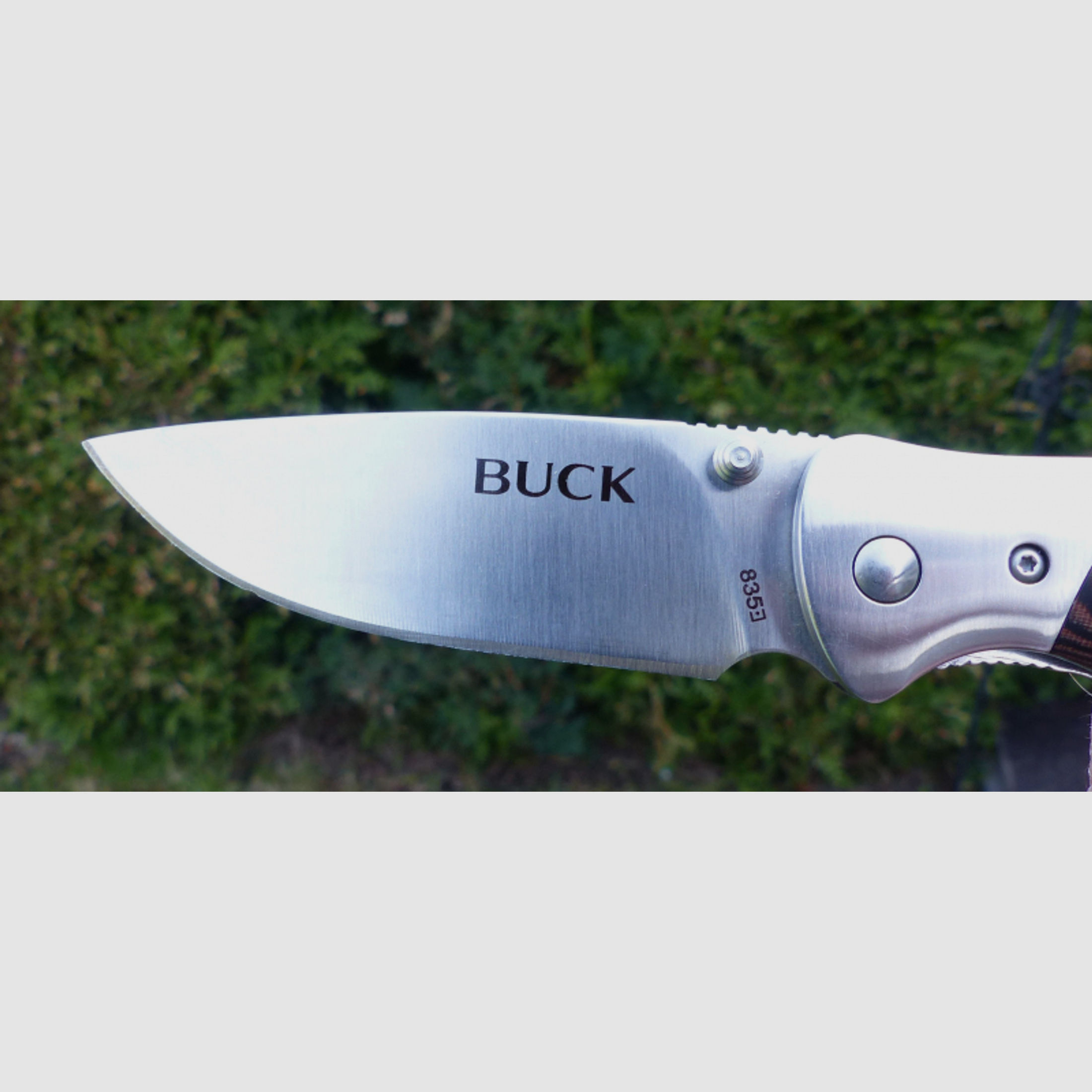 Buck Selkirk 835