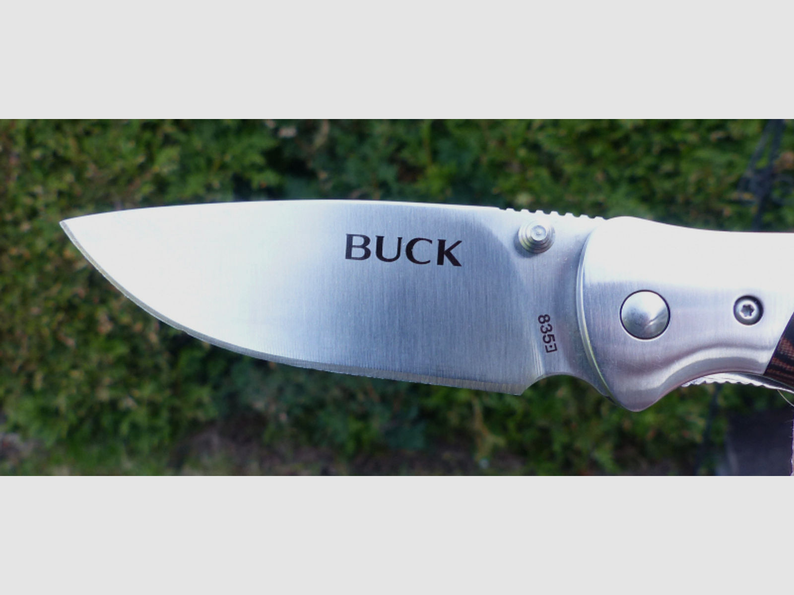 Buck Selkirk 835