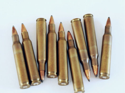 135 Patronen 5,6x50 Magnum, 3,6 gr Sie BTSP, RANDLOS
