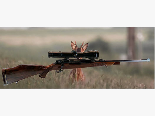 Sauer Weatherby in .300 Weath. Magn.
