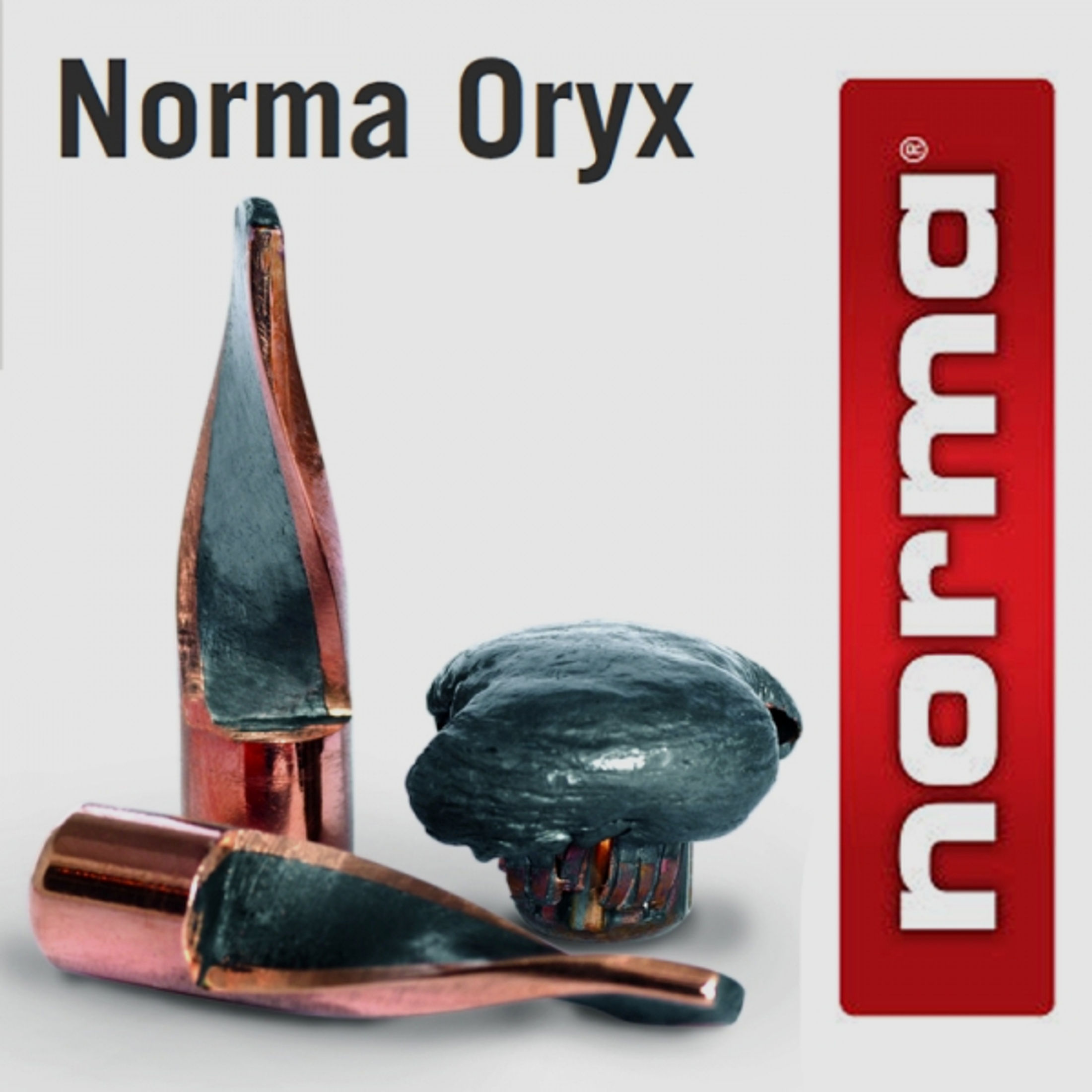 100 Stück NEUE NORMA Geschosse-NEW-ORYX .308/7,62- 10,7g/165gr #20676161 Deformationsgeschoss/Bonded