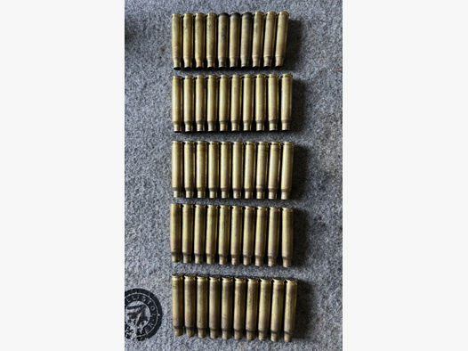 50 Hülsen GECO .223 Remington 5.56 NATO Messing 1x abschossene Fabrikmunition