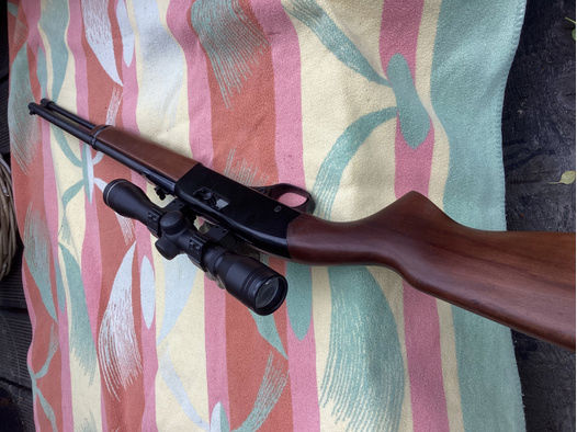 Winchester 190, 22lr SLB