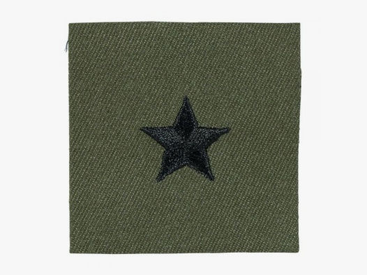 Unbekannt Rangabzeichen US Textil Brigadier General oliv
