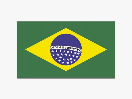 Unbekannt Flagge Brasilien