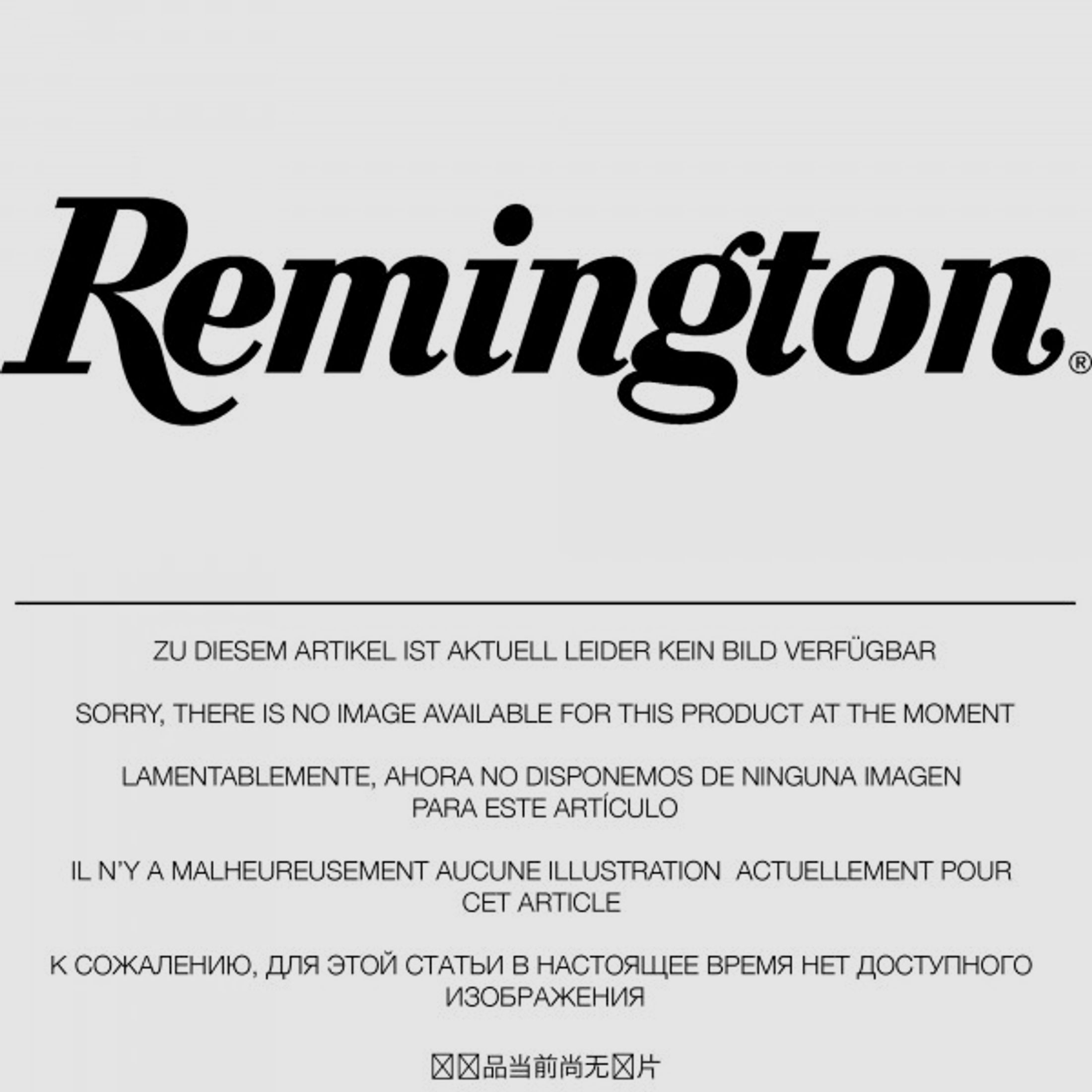 Remington .375 Rem Ultra Mag 17,50g - 270grs Hornady SP Büchsenmunition #29340