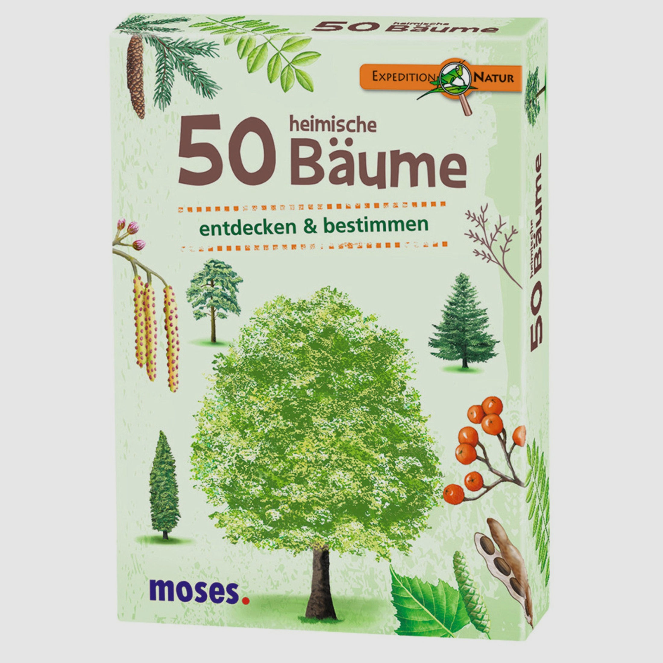 Moses Kartenspiel 50 heimische Bäume