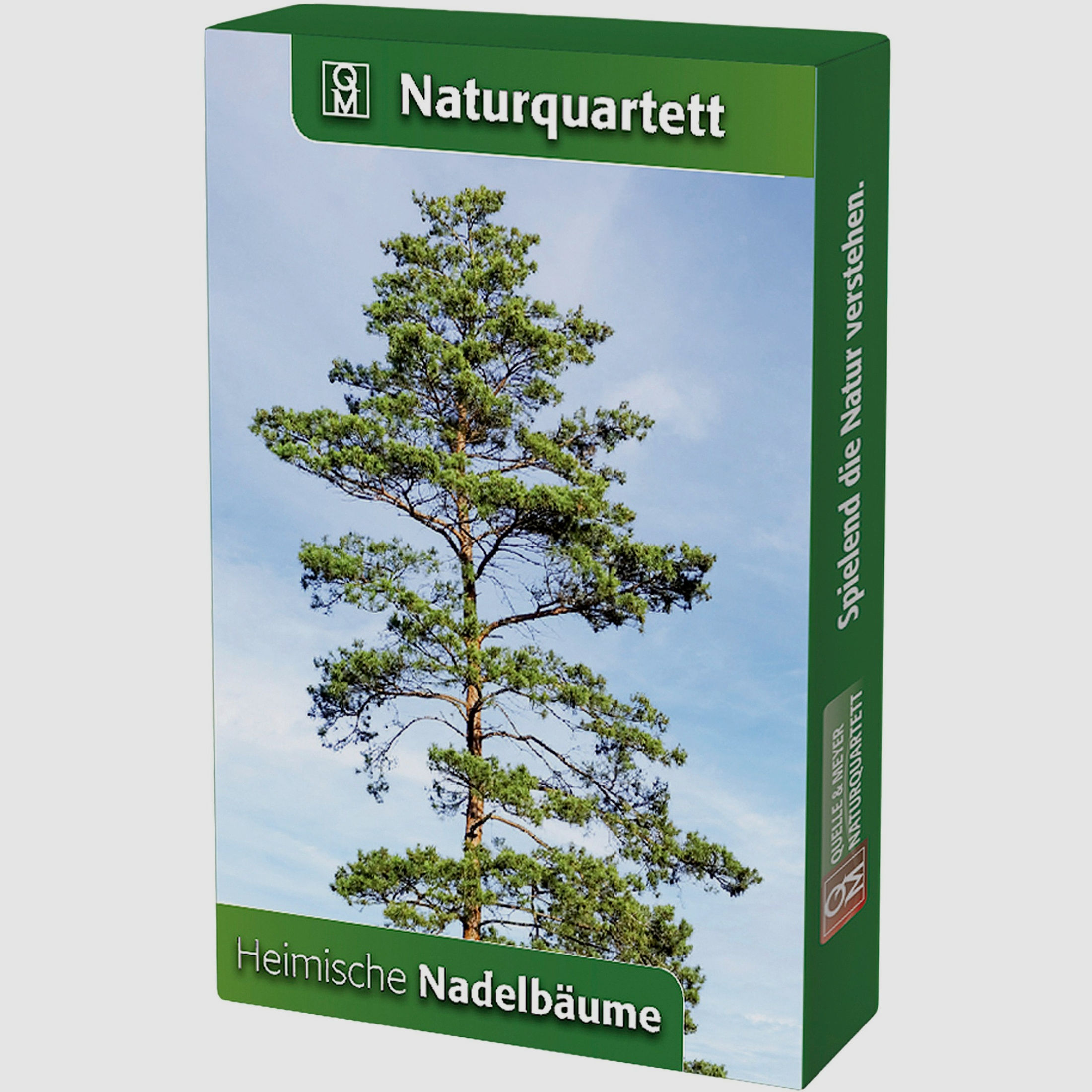 Naturquartett Heimische Nadelbäume