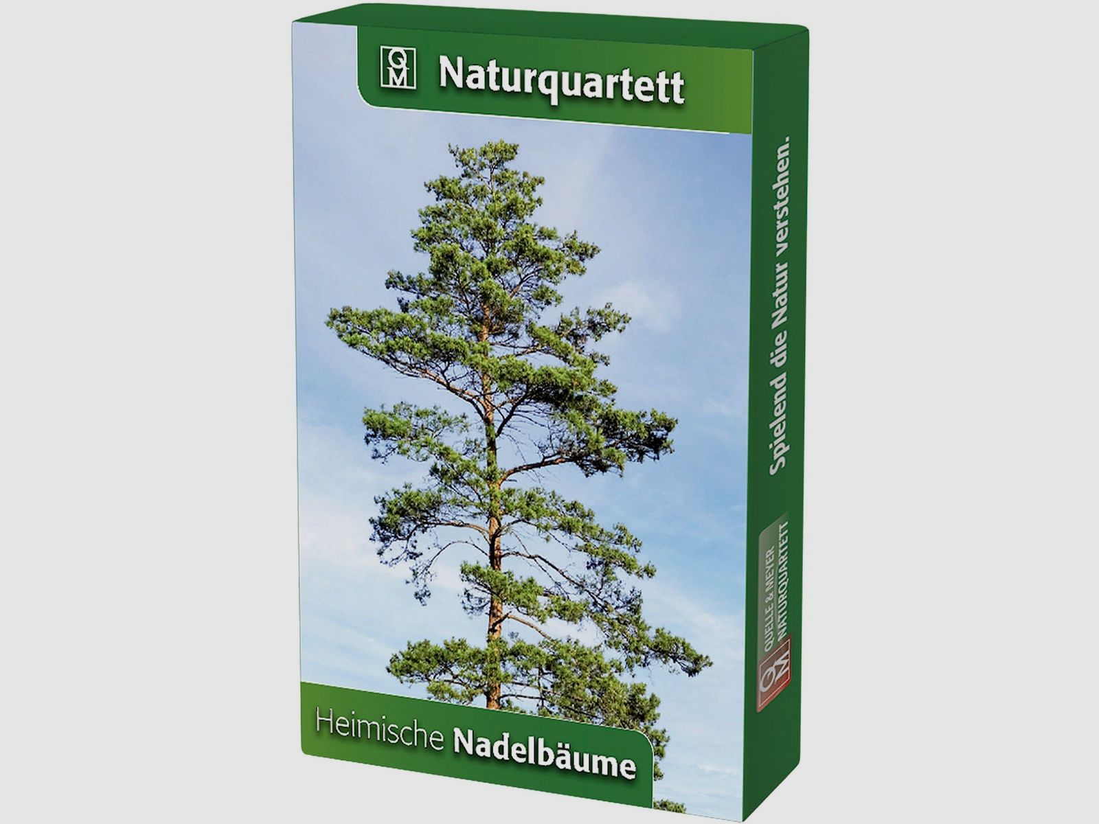 Naturquartett Heimische Nadelbäume