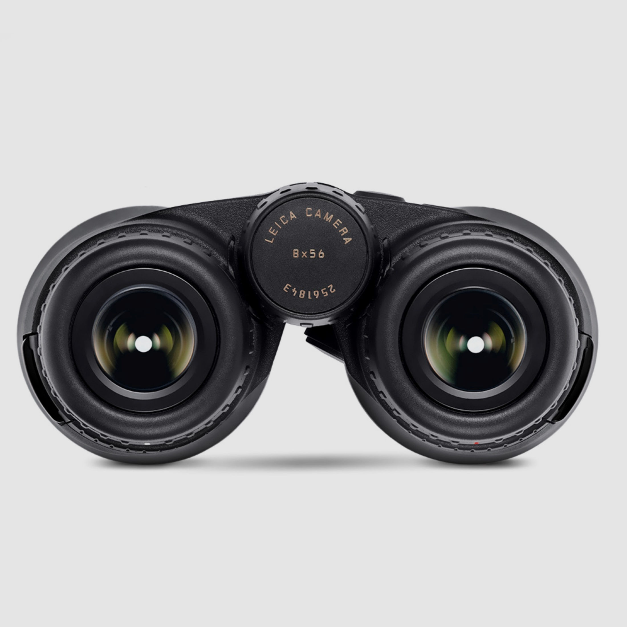 Leica Geovid R 8x56 Fernglas mit Entfernungsmesser 40813