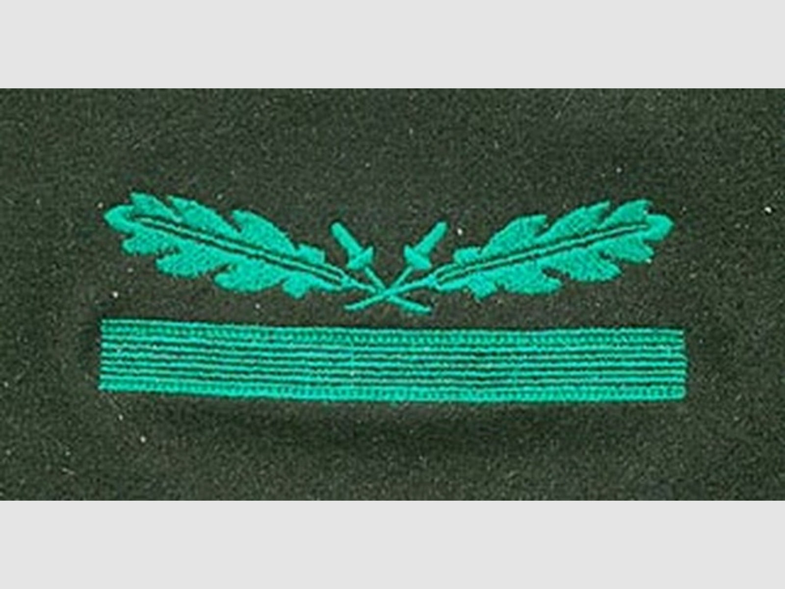 Dienstgradabz. f. Sonderbekl. Untersturmf./Leutnant