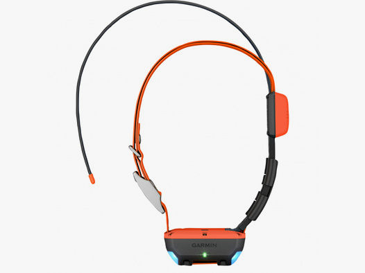 Garmin       Garmin   Hundehalsband (GPS) ALPHA® T 20 K