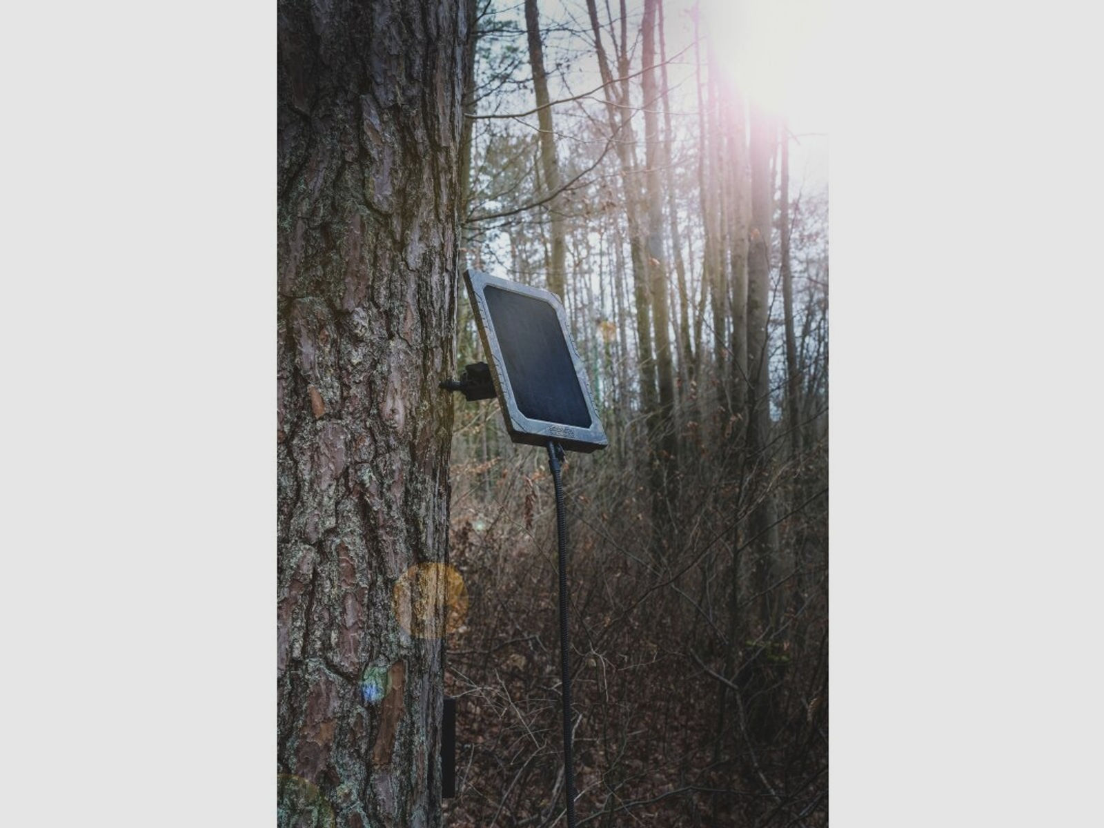 Seissiger Solar-Panel für Wildkameras
