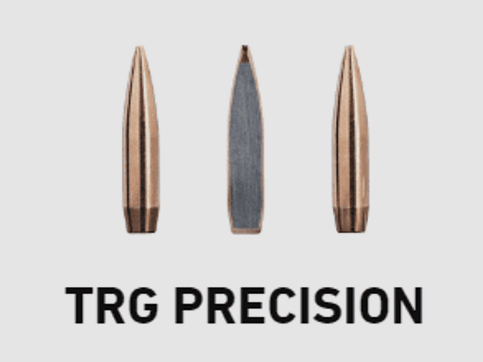 Sako .308 Win TRG Precision 175 gr. - 20 St.