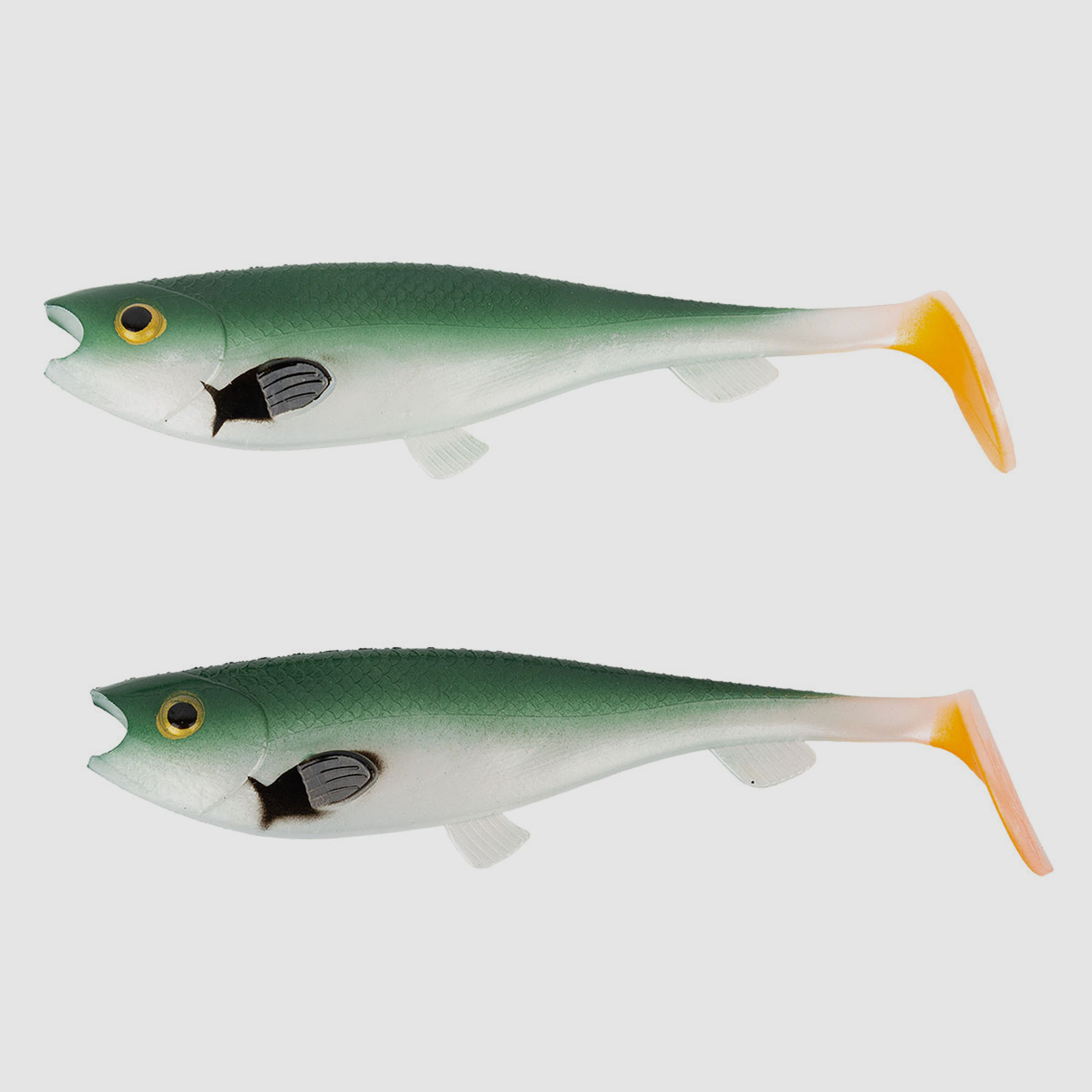 FISCH & FANG Edition: Shad INVDR Roach 14 cm