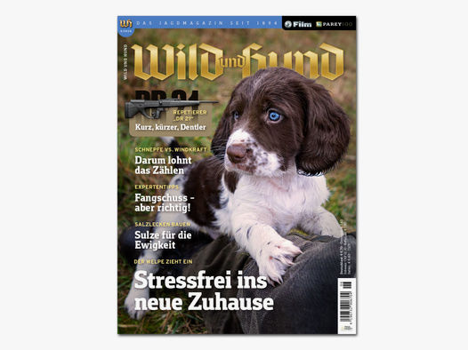 Wild und Hund 2024/06
