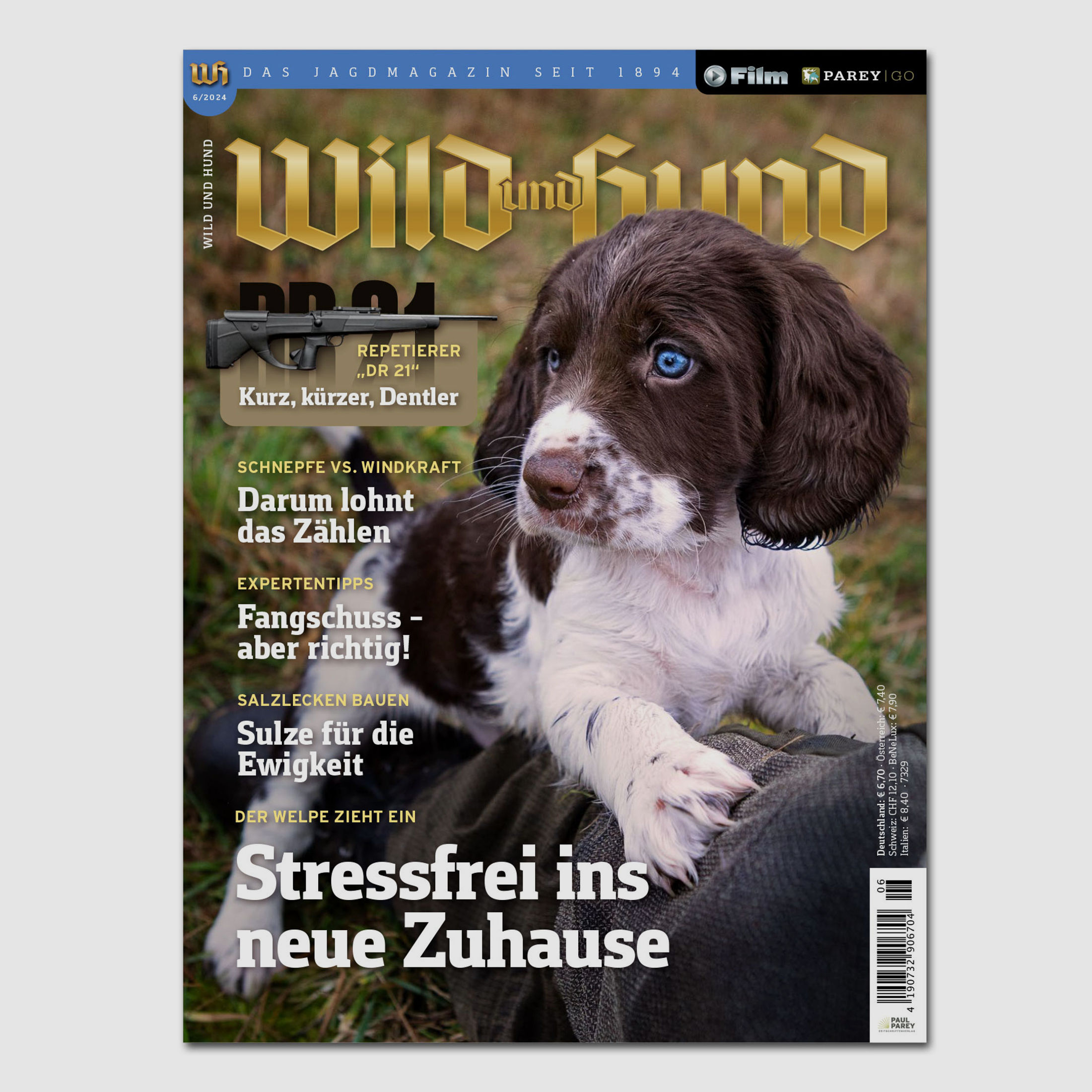 Wild und Hund 2024/06
