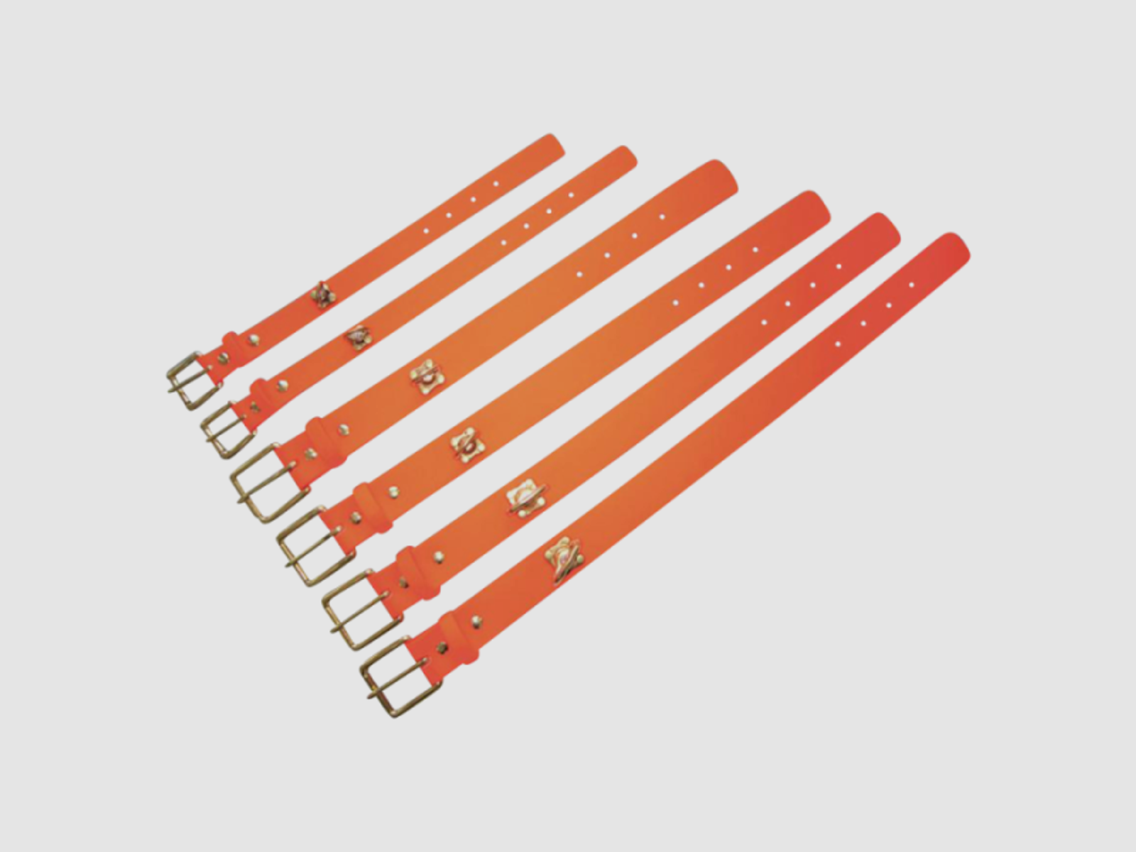 Diverse Hunde-Halsband Schweißhalsung Biothane-orange Gr. M (45cm x38mm)