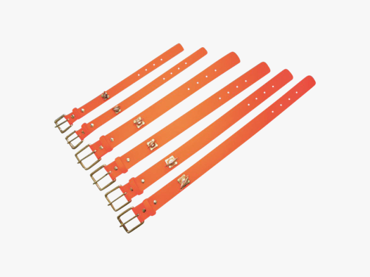 Diverse Hunde-Halsband Schweißhalsung Biothane-orange Gr. M (45cm x38mm)