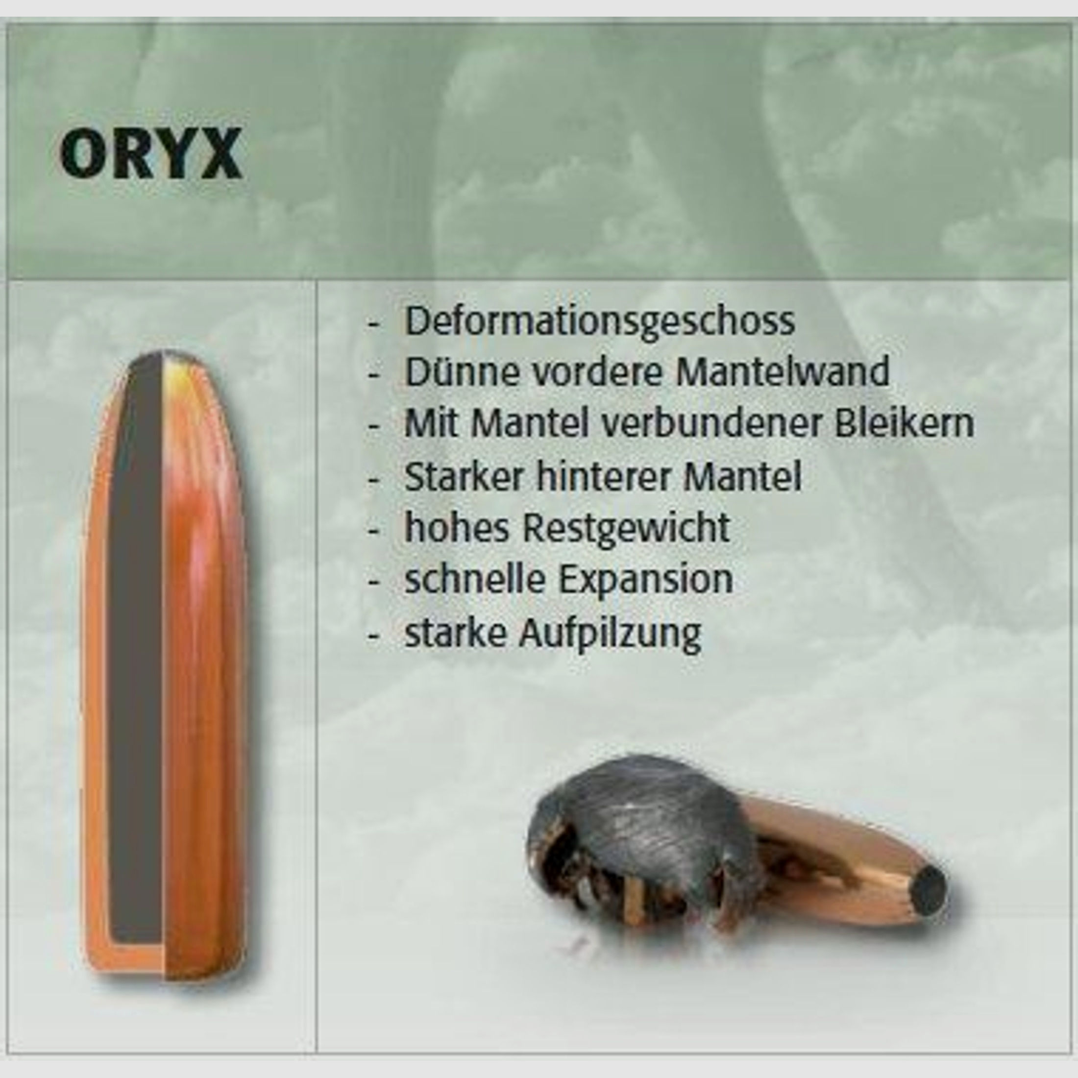 NORMA Büchsengeschosse 358-250-ORYX 50 Stk   16,2g