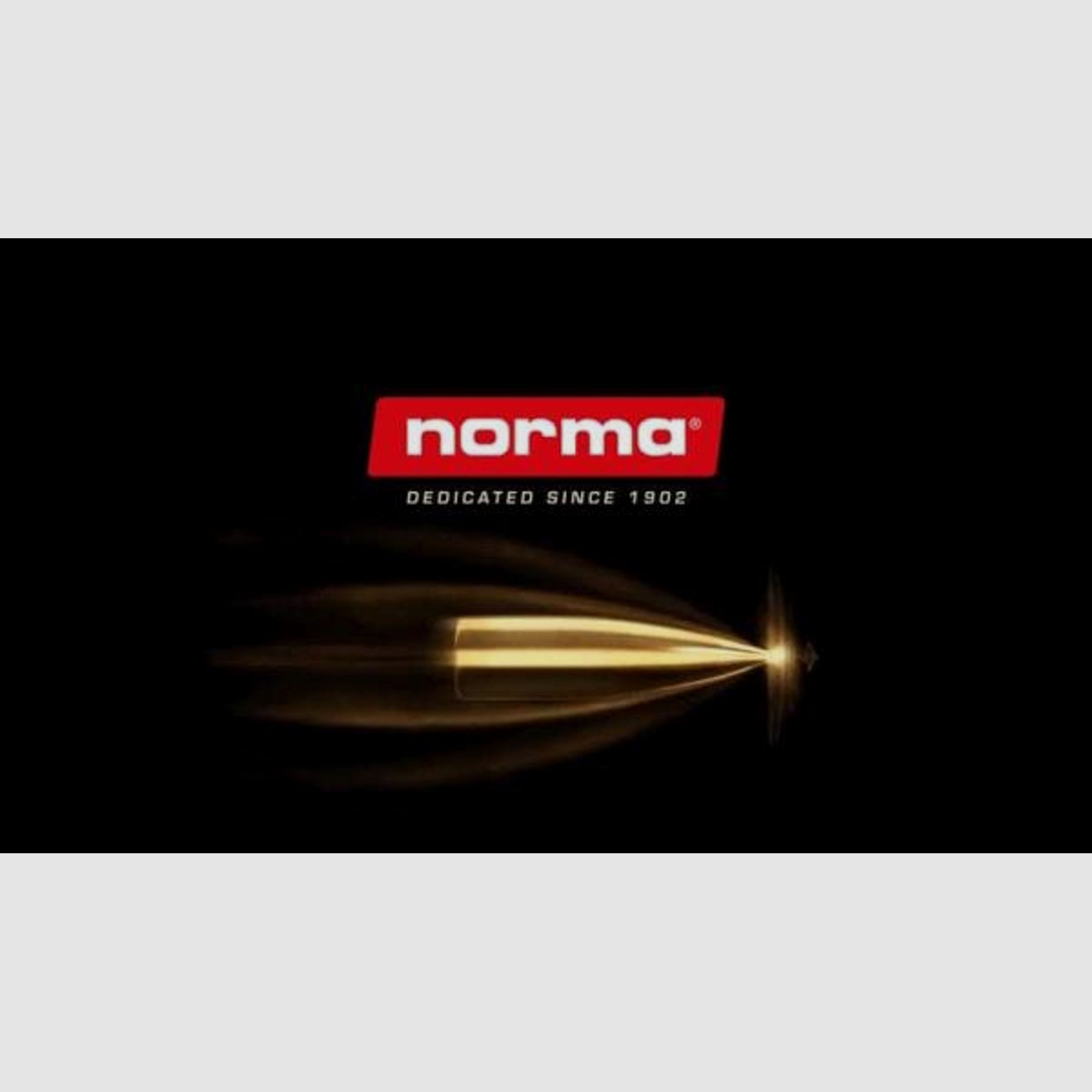 NORMA Kugelpatronen 6,5x55 HP Golden Target 50 Stk   8,4g/130grs
