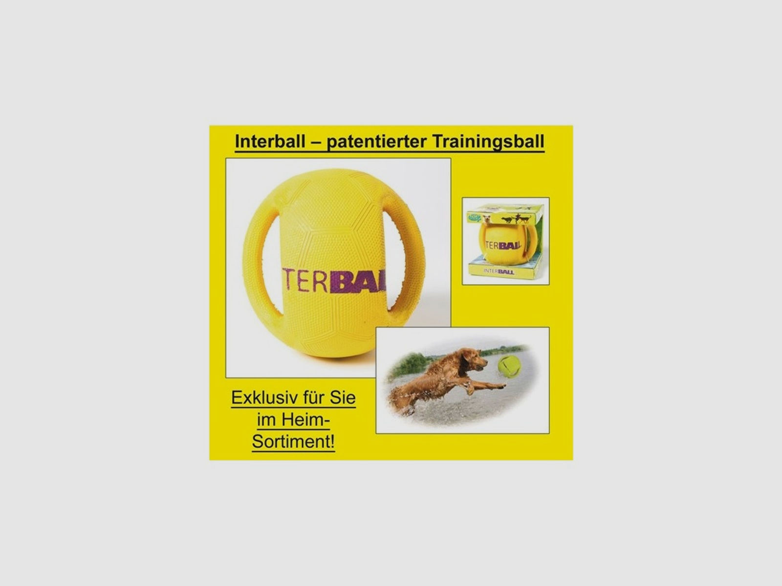 Heim Interball - patentierter Trainingsball