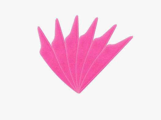 6-er Pack Hawk Dolphin Vanes 2,5" Neon-Pink