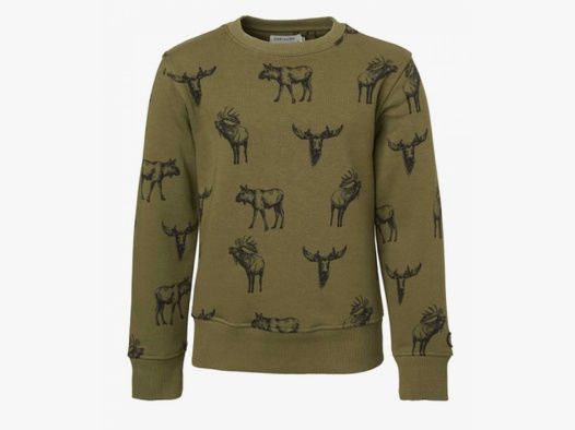 Chevalier Kinder Pullover Moose, Farbe Forest Green