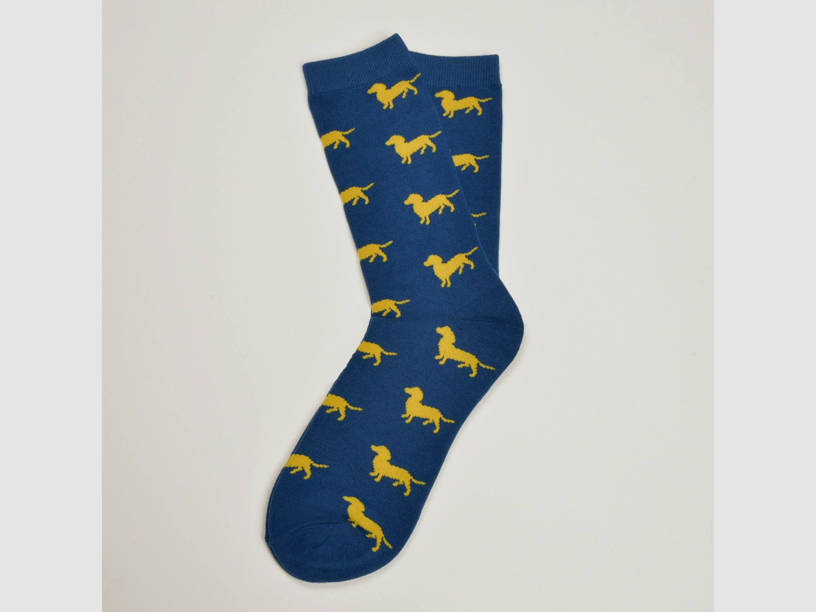 Blaue Socken, Dackel in Gelb