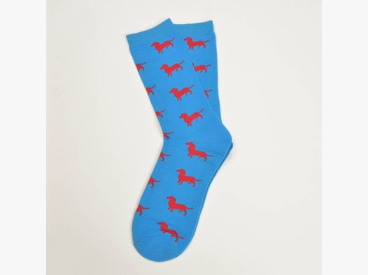 Blaue Socken, Dackel in Rot