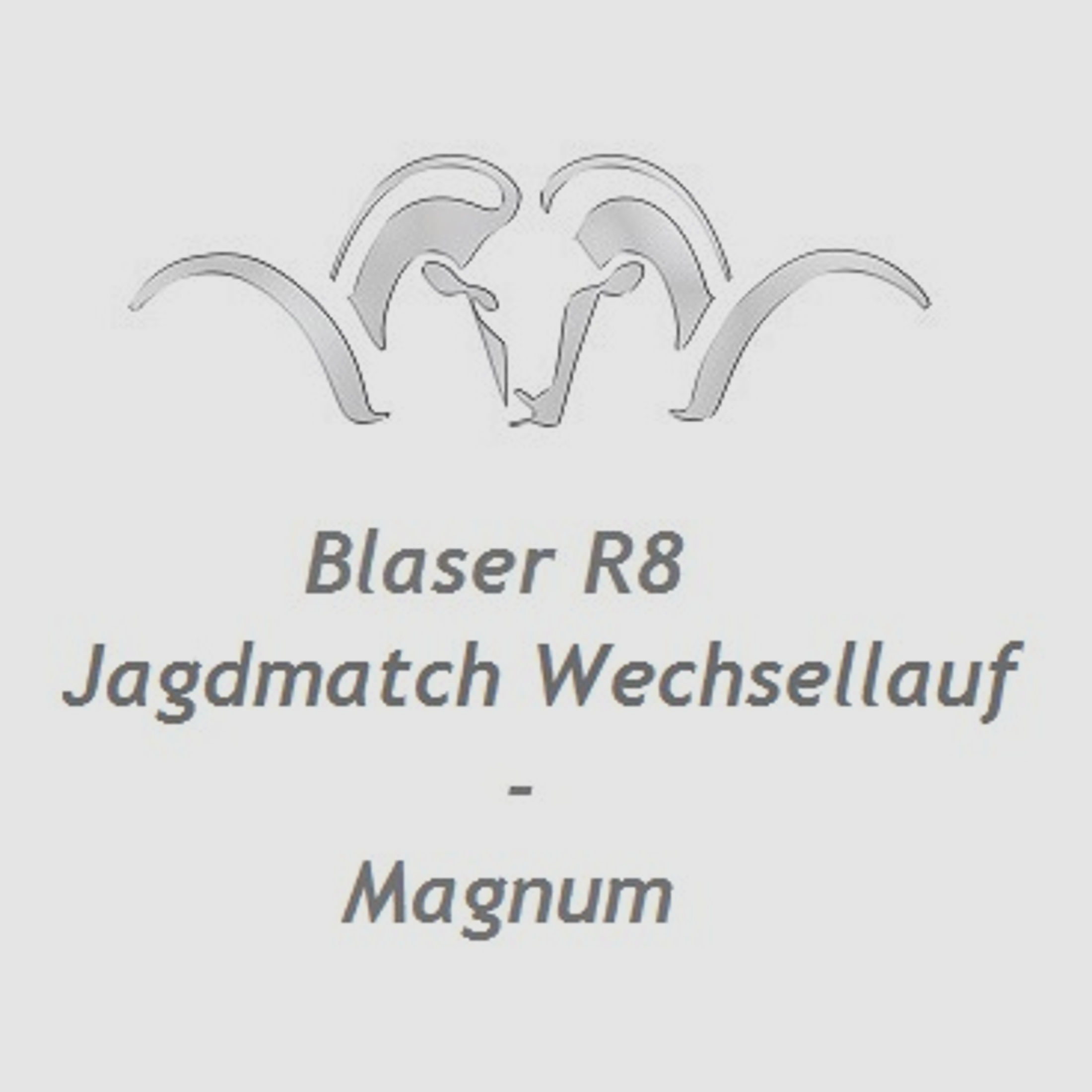Blaser R8 Jagdmatch Austauschlauf - Magnum ... mit Gewinde M18x1