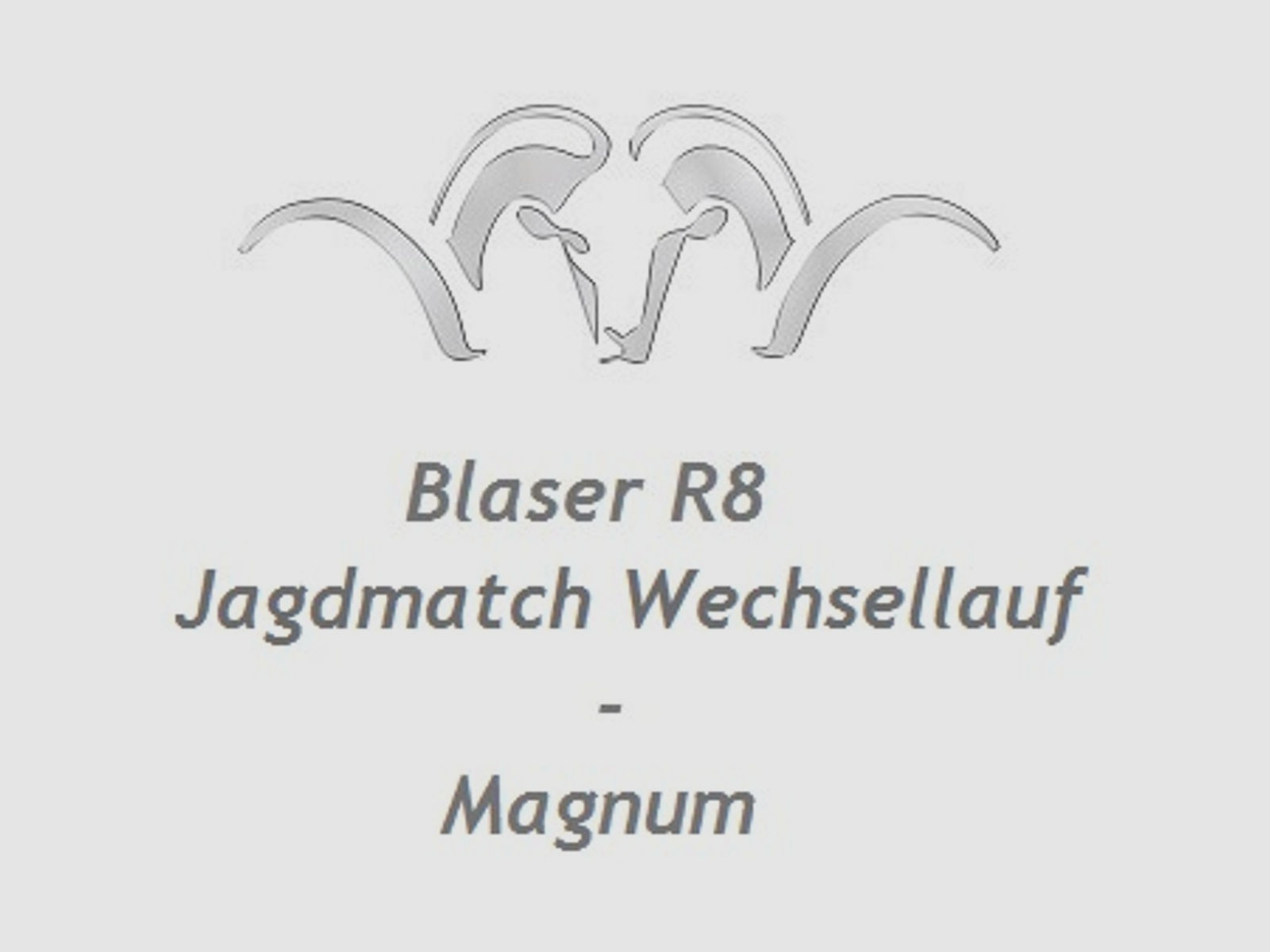 Blaser R8 Jagdmatch Austauschlauf - Magnum ... mit Gewinde M18x1