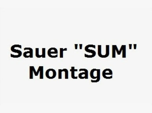 Sauer SUM Montage für S404