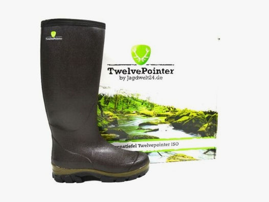 Twelvepointer Forest ISO Lady 41