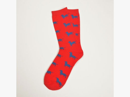 Krawattendackel Damen Socken rot, Dackel blau, Größe 36-40