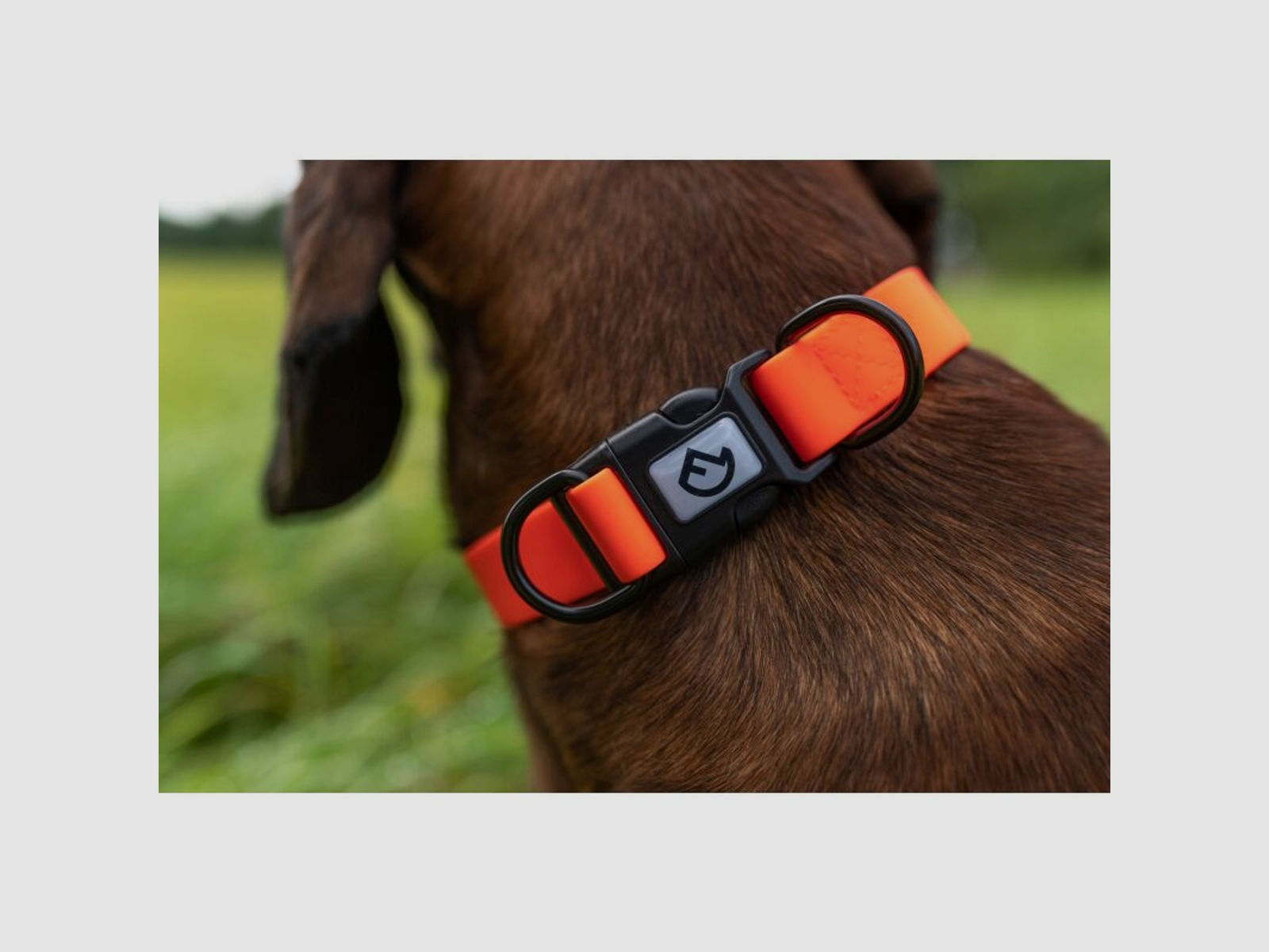 Farm-Land Halsband Verstellbar Signalorange