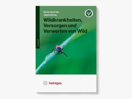 Heintges Arbeitsblätter Wildkrankheiten, Versorgen & Verwerten von Wild