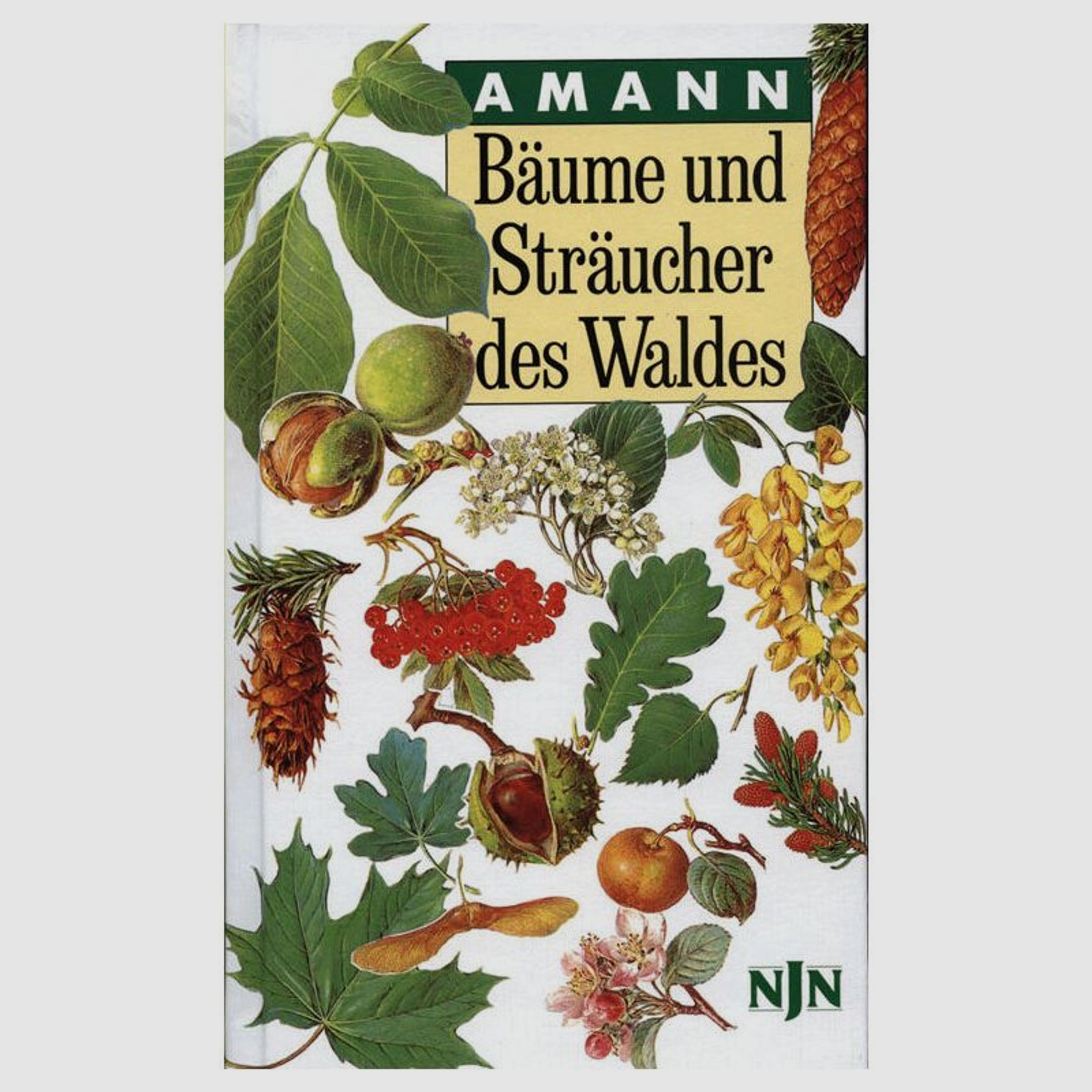 Bäume und Sträucher des Waldes von Gottfried Amann