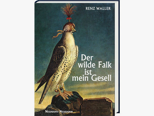 Renz Waller, Der wilde Falk