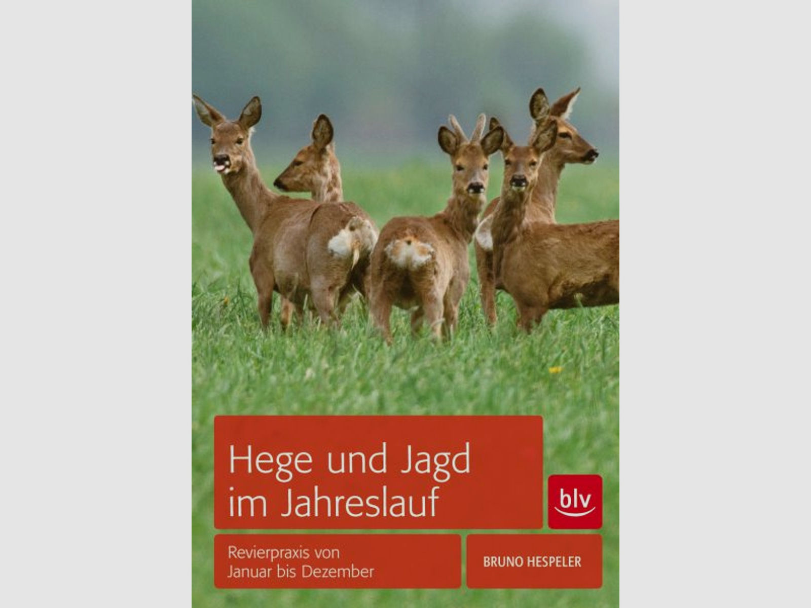 Hespeler - Hege und Jagd im Jahresverlauf