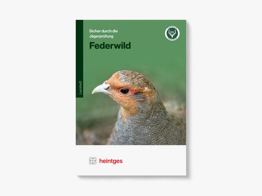 Heintges - Federwild