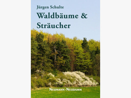 Waldbäume & Sträucher - Jürgen Schulte
