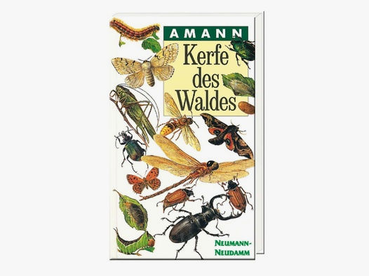 Bestimmungsbuch: Kerfe des Waldes - Gottfried Amann