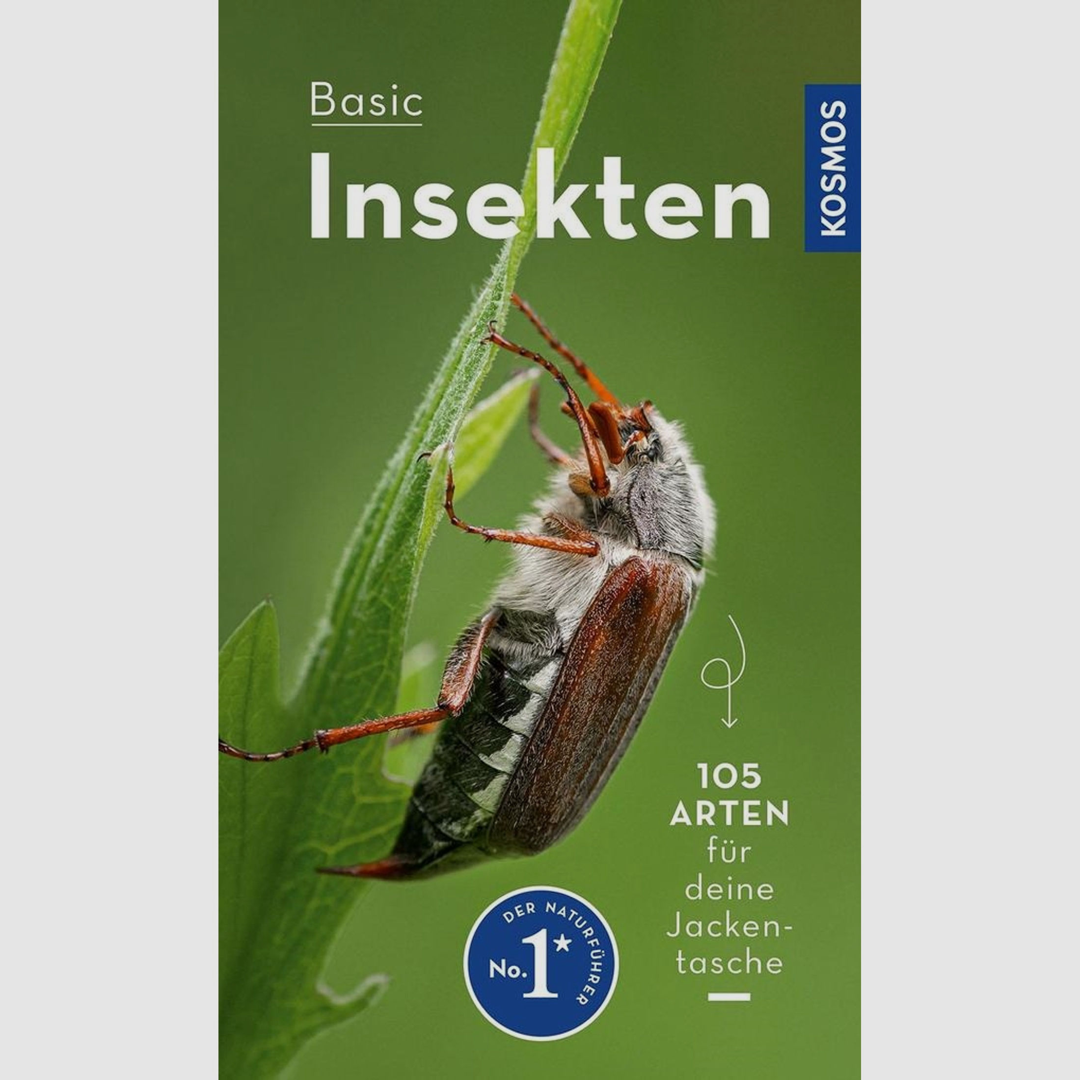 Basic Insekten - Roland Gerstmeier