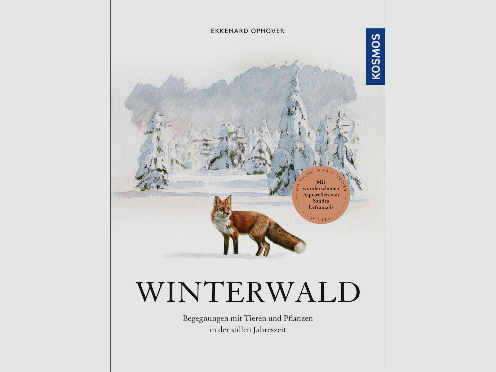 Winterwald - Ekkehard Ophoven