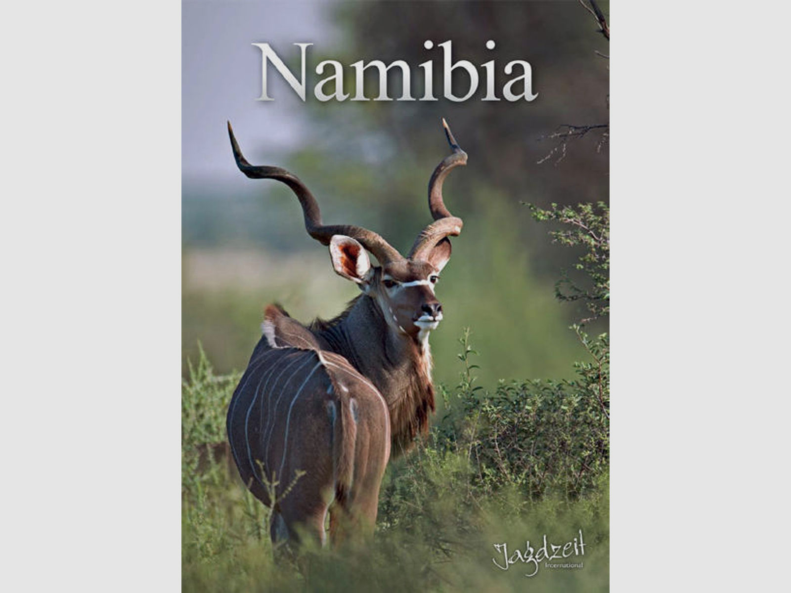 Themenband "Namibia"
