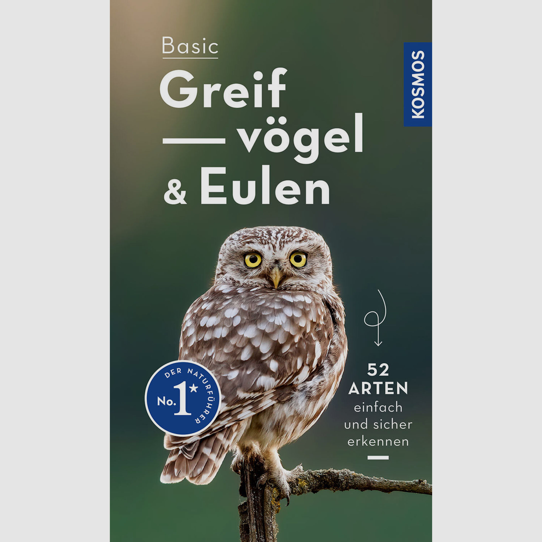 Basic Greifvögel und Eulen - Volker Dierschke