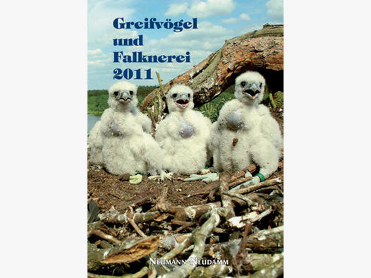 Greifvögel und Falknerei - Jahrbuch 2011